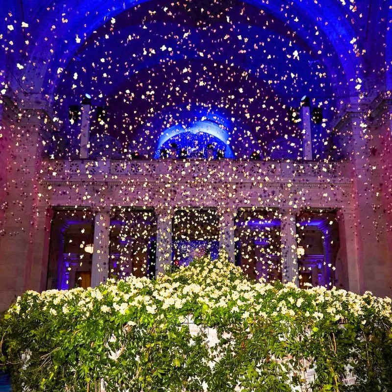 Narcissus met gala