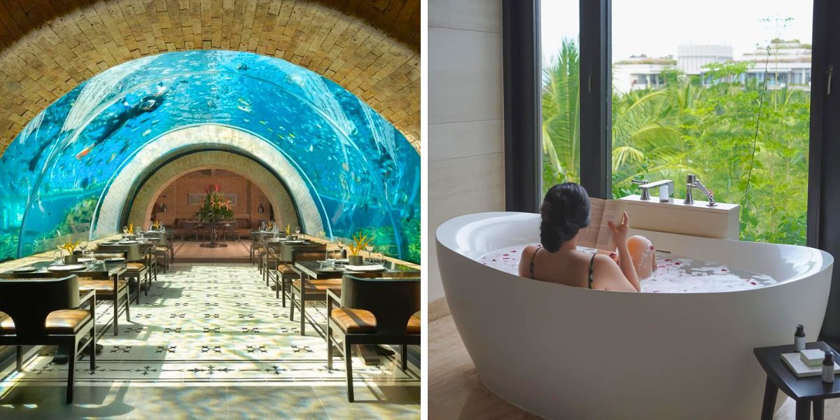 Aquarium and room views of Apurva Aquarium and room views of Apurva