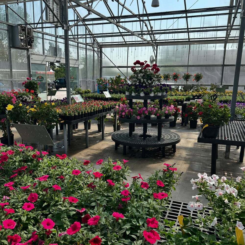Flowering business with shed Flowering business with shed