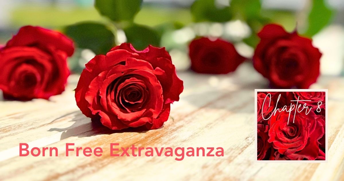 Chapter 8 Rose Born Free