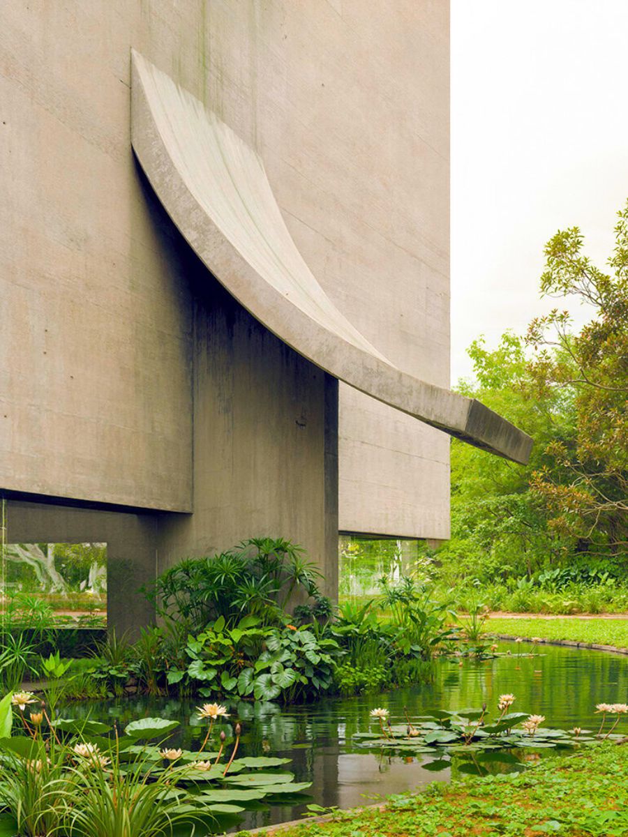 Ponds filled with lotus flowers and plants Ponds filled with lotus flowers and plants