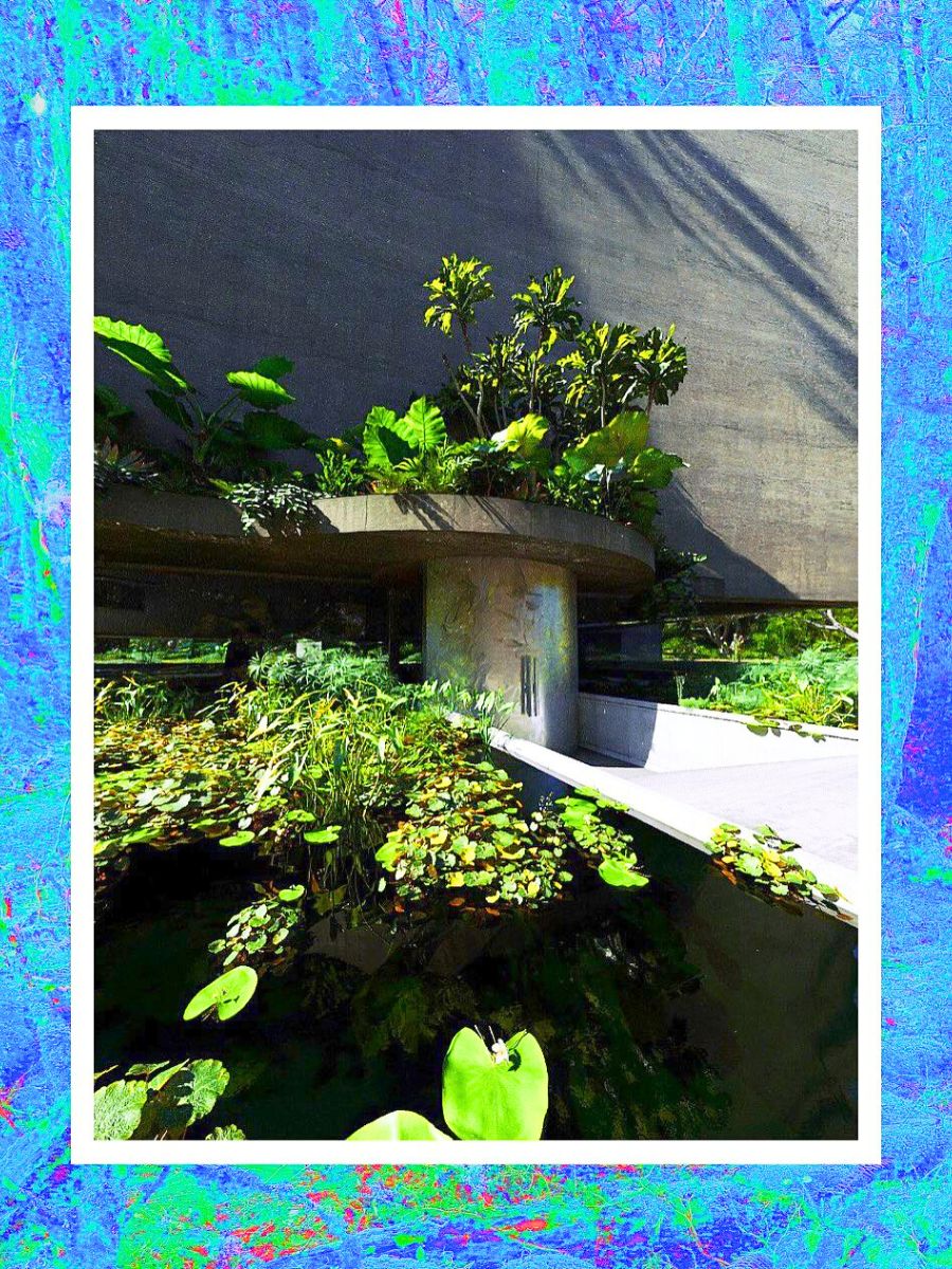 Artistic border with a picture of the greenery Artistic border with a picture of the greenery