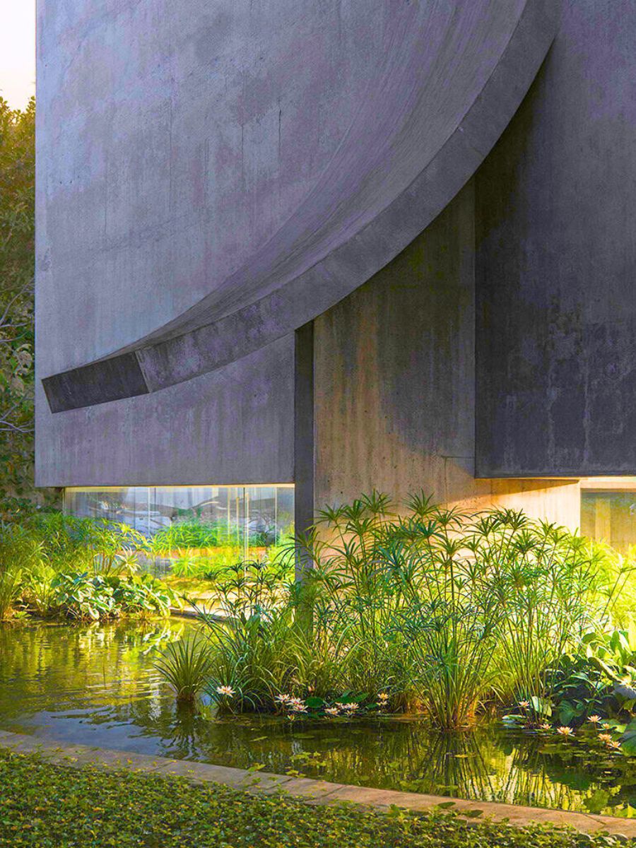 Airy spaces with outdoor plants