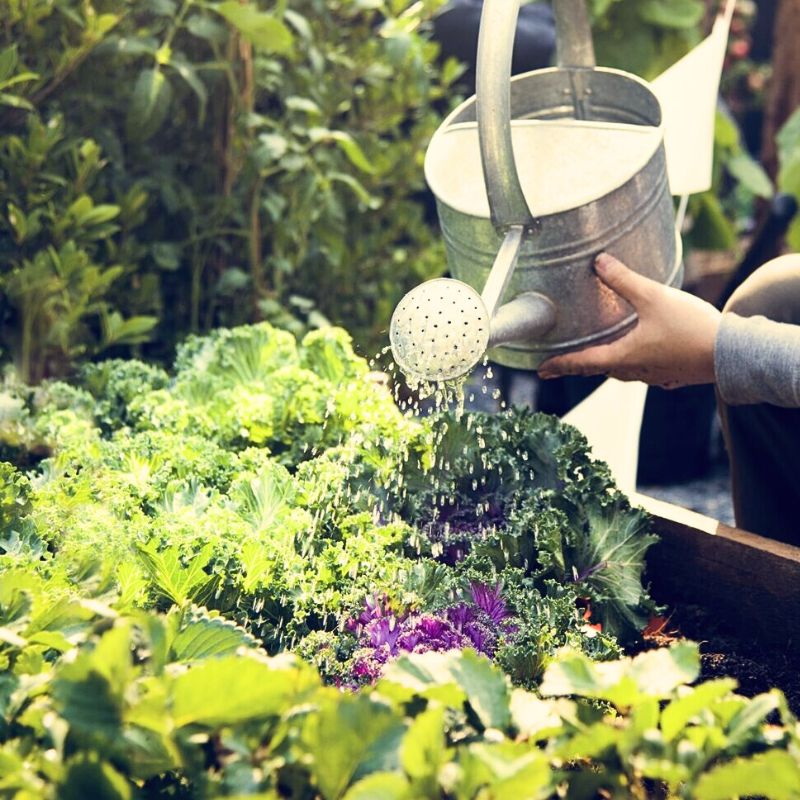 Garden Journey