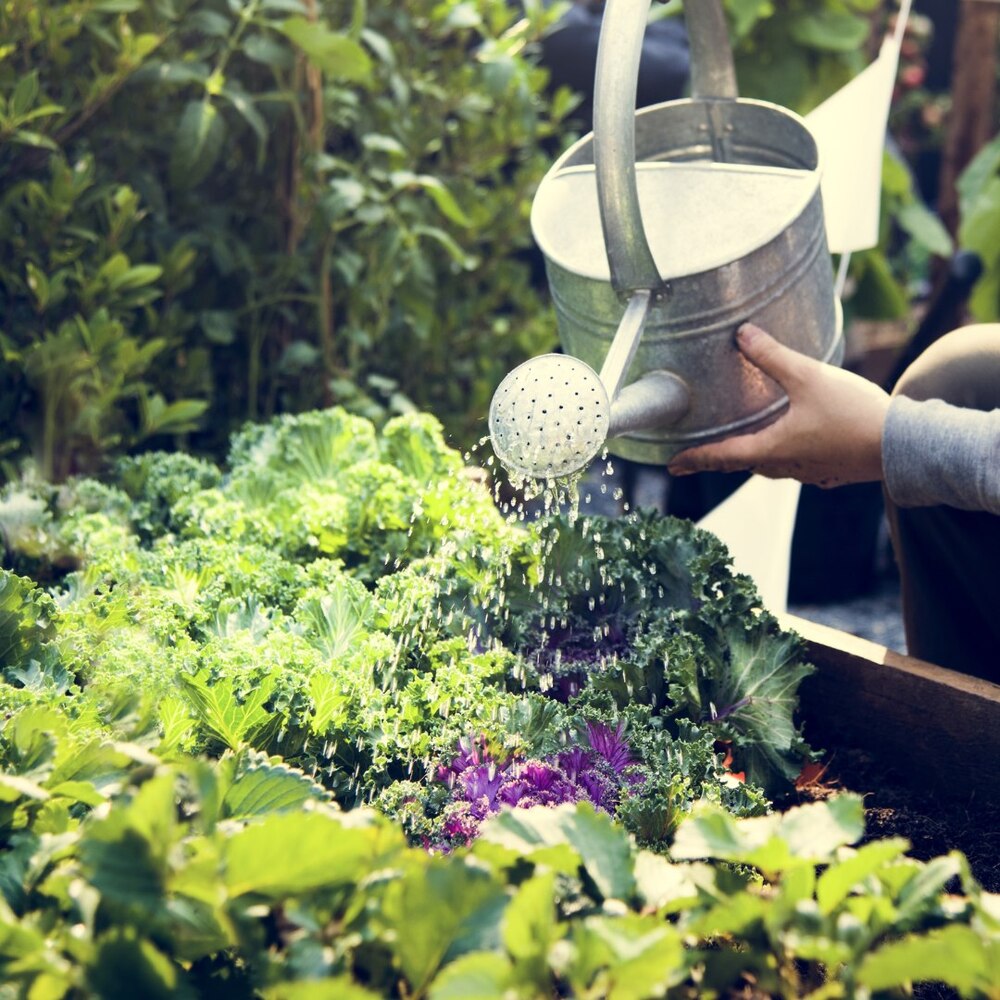 Watering to your private garden area Watering to your private garden area