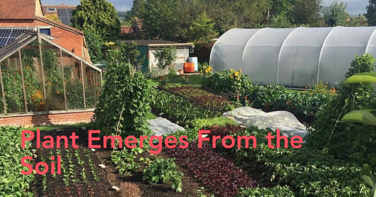 Garden Journey