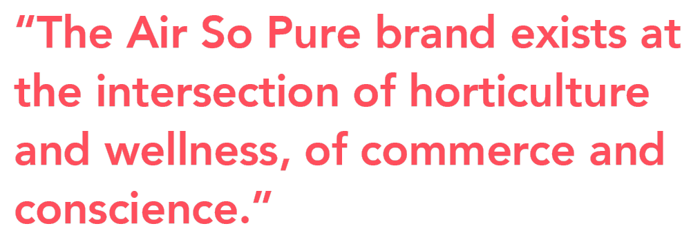 Air So Pure intersection quote on Thursd