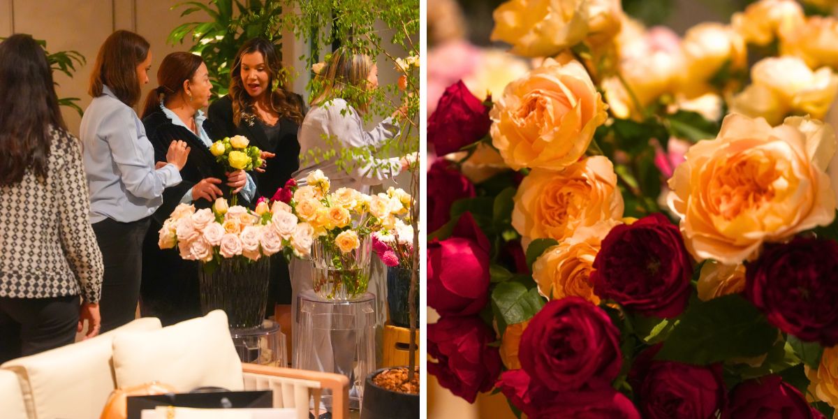Roses by Alexandra Farms for workshop for Sierra Roses by Alexandra Farms for workshop for Sierra