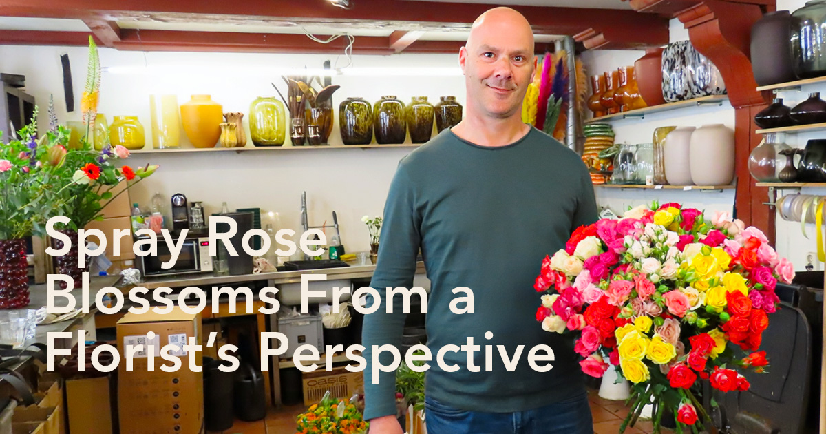 Blossoms Spray Roses at Jemi Bloemen