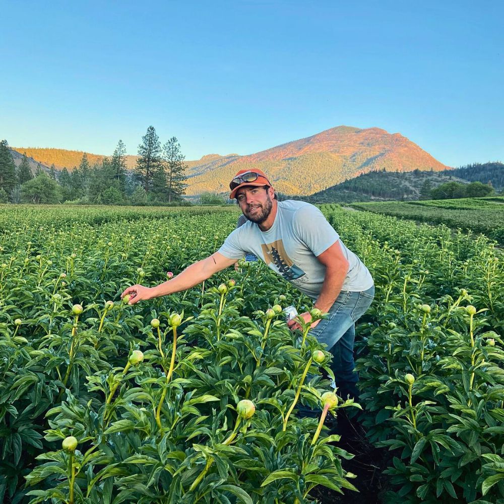Peonies How Integrated Nutrient Management Practices Are Vital for a Sustainable Floriculture Industry