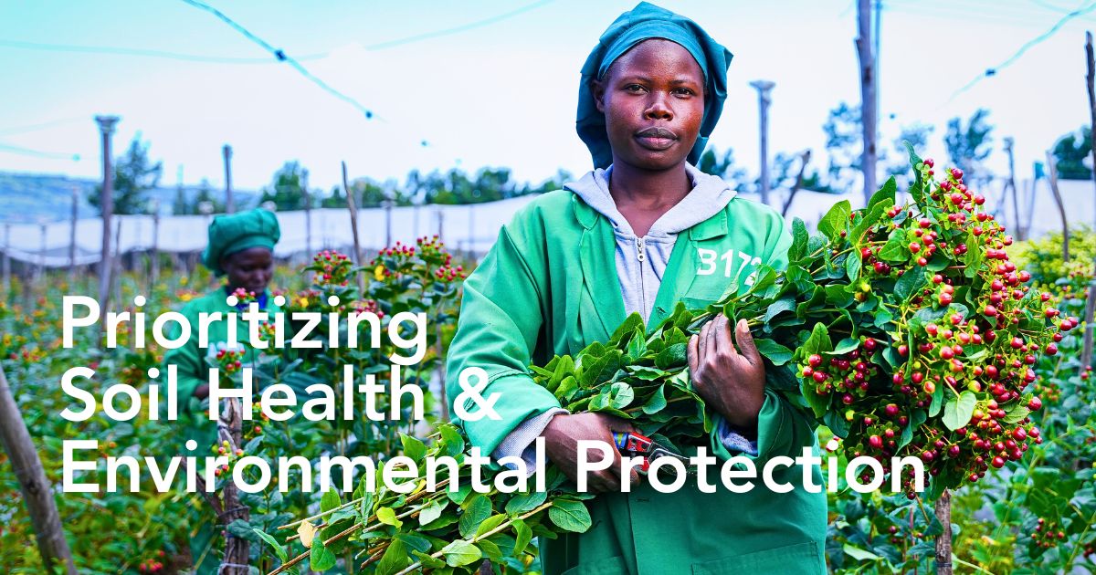 Integrated Nutrient Management Is Key for a Sustainable Floriculture Industry