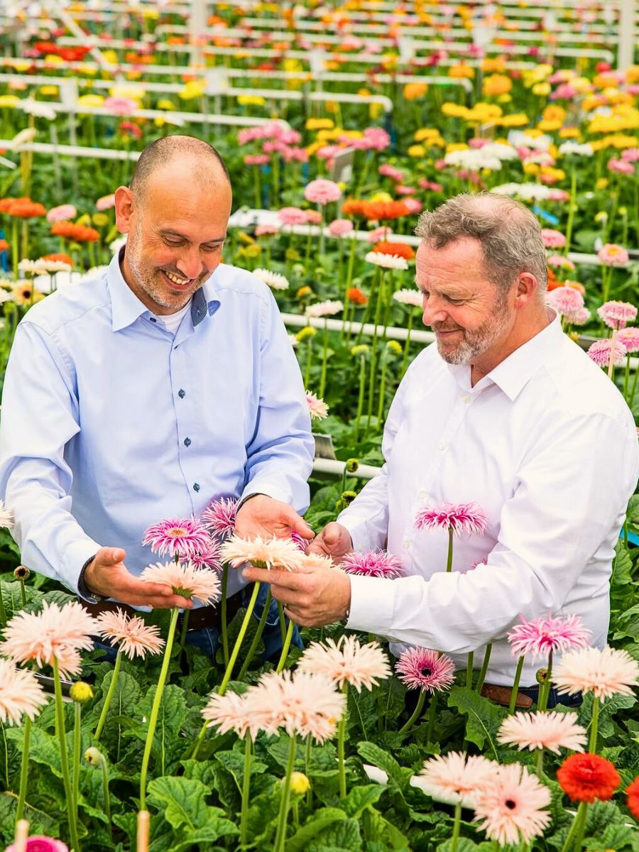 Flower cultivation Integrated Nutrient Management Is Key for a Sustainable Floriculture Industry