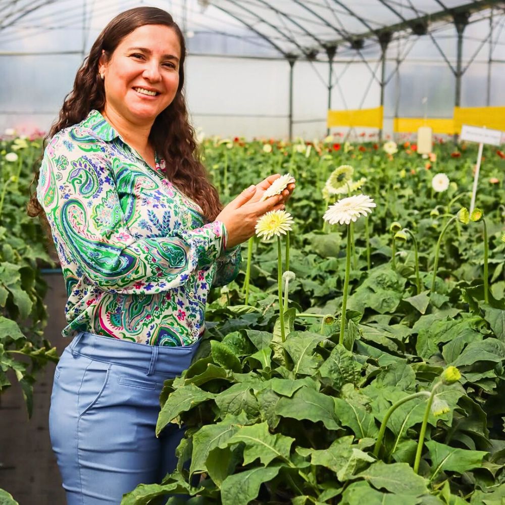 Flowers How Integrated Nutrient Management Practices Are Vital for a Sustainable Floriculture Industry
