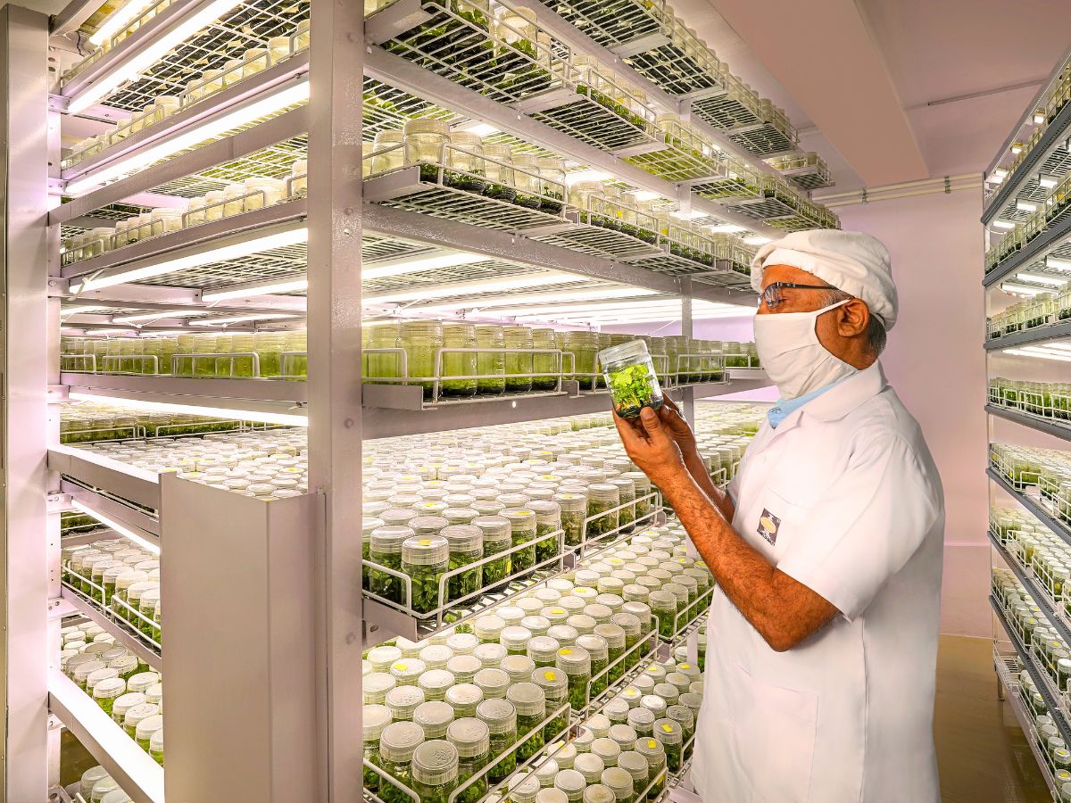 INDAM Tissue culture facility in India 10 Questions to Rashmi Avattar