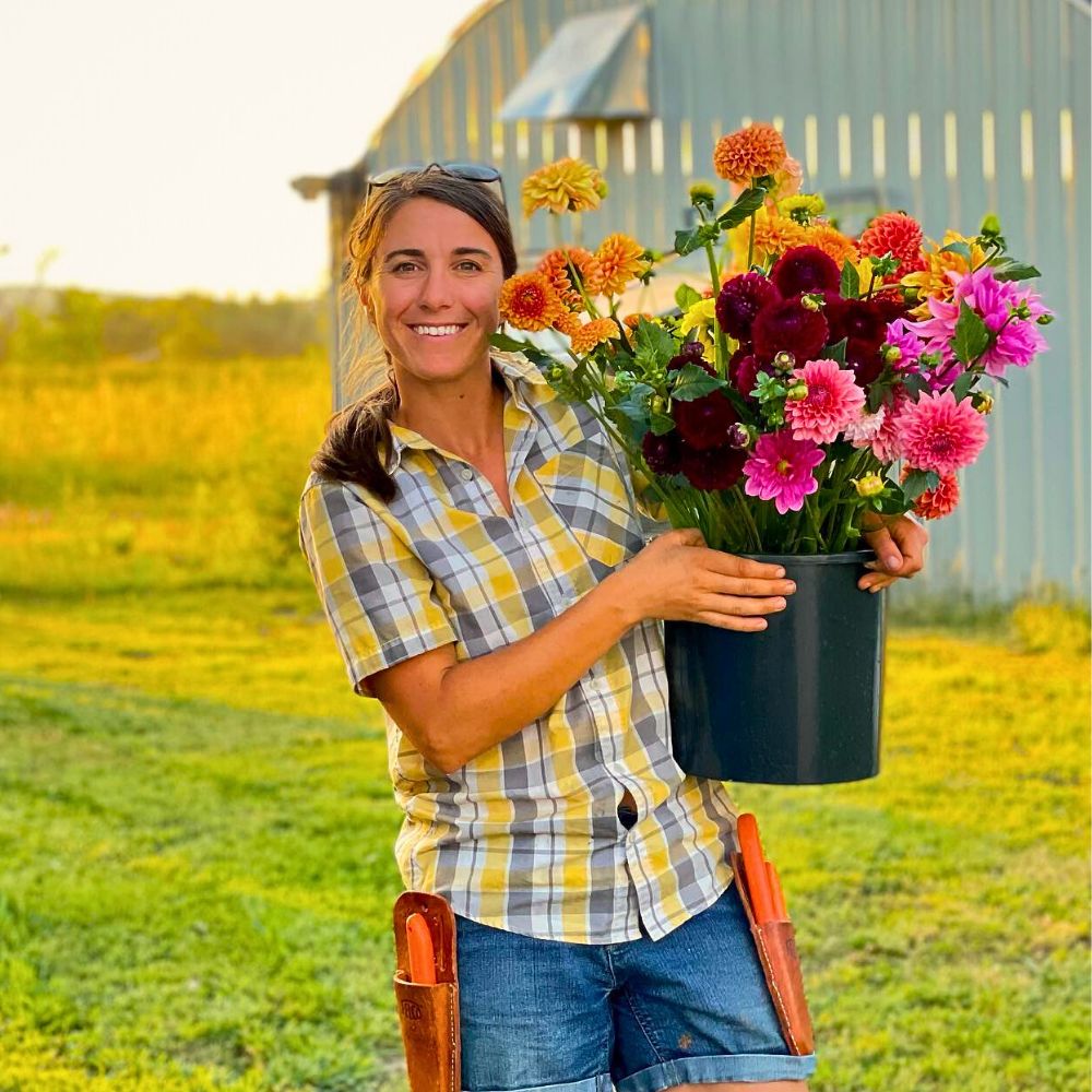 Dahlia AFE’s R.I.S.E to Support Campaign Shows Why Floriculture Funding Matters