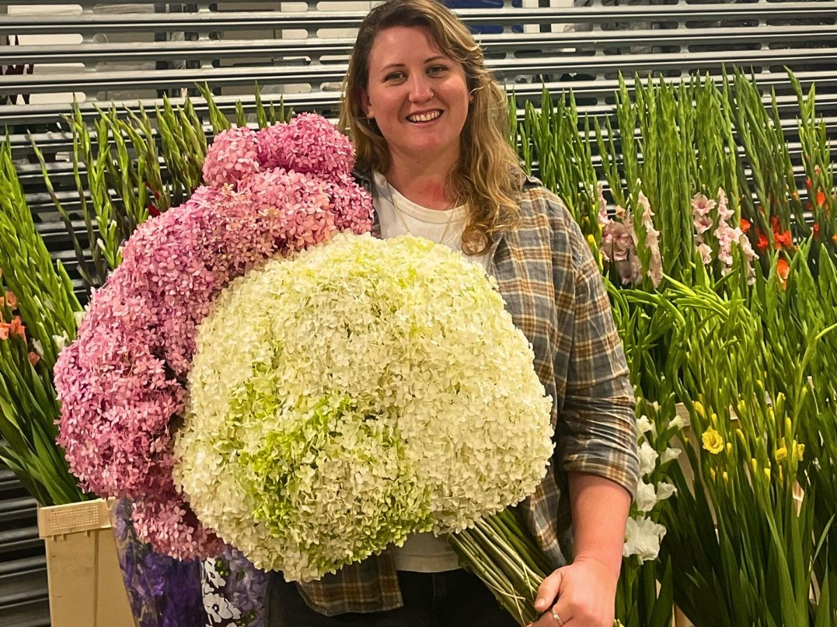 Floral industry AFE’s R.I.S.E to Support Campaign Shows Why Floriculture Funding Matters