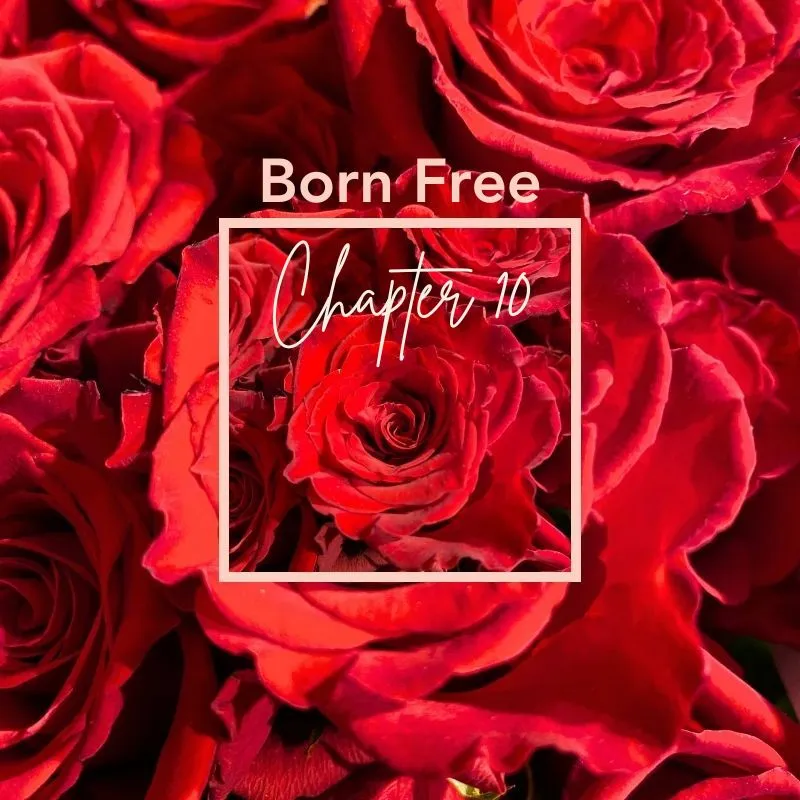 Born Free Chapter 10
