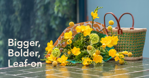 Do You Believe This? Freesia One® XXL: Big Stems, Bold Presence