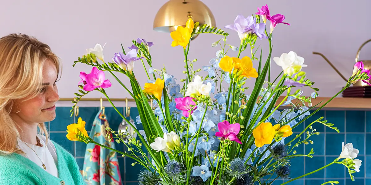 Freesia One XXL