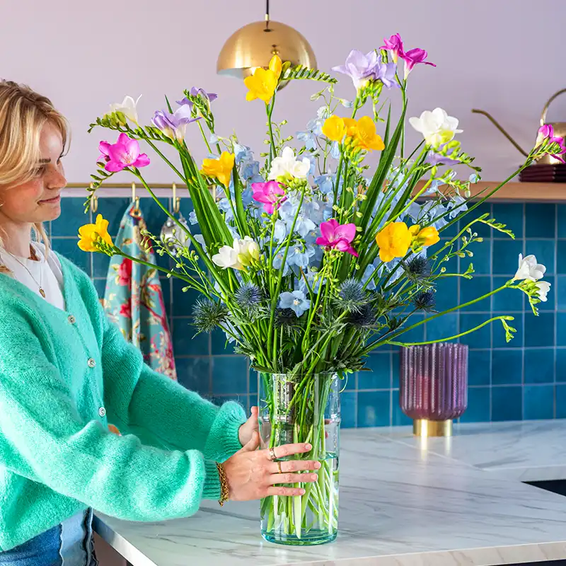 Freesia One XXL
