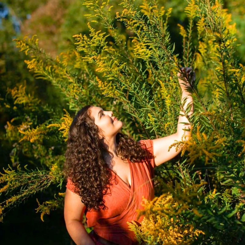 goldenrod flower meaning thursd article featured image