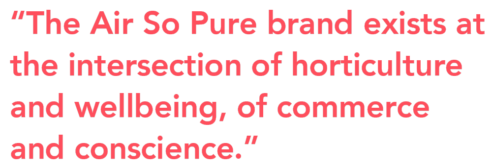 Air So Pure intersection quote on Thursd