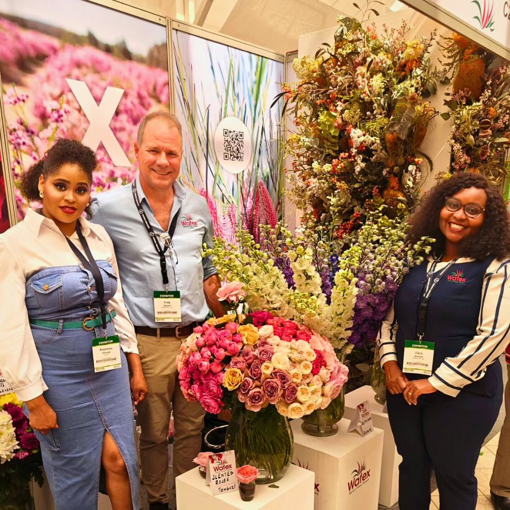 IFTEX Be Sure to Connect With the Thursd Team at the 2025 IFTEX