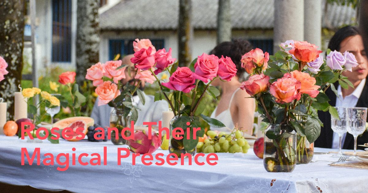 Colorful roses for a wedding