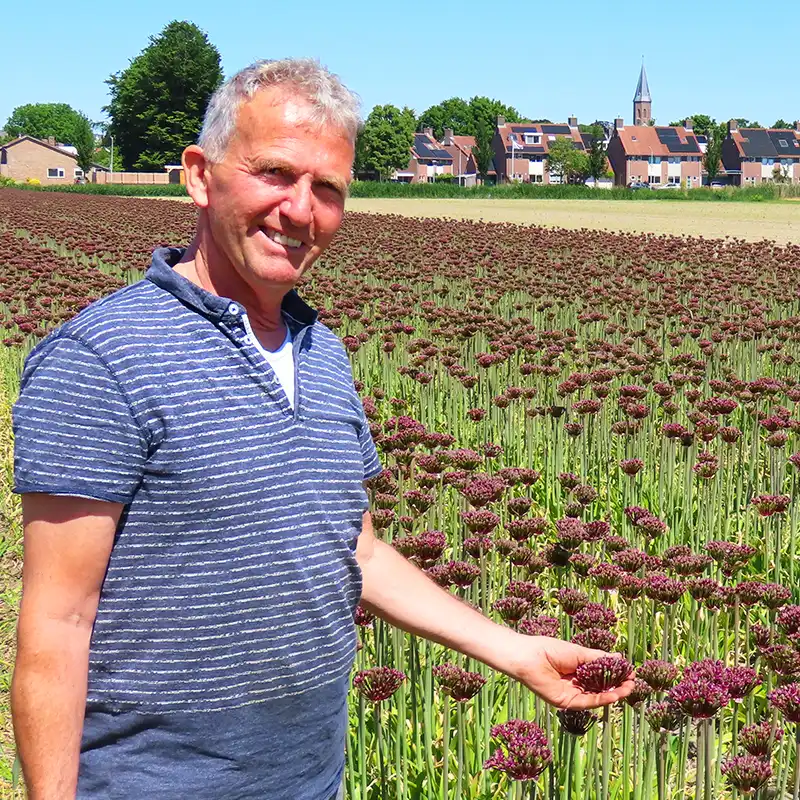 Sjaak van Berkel in Allium field