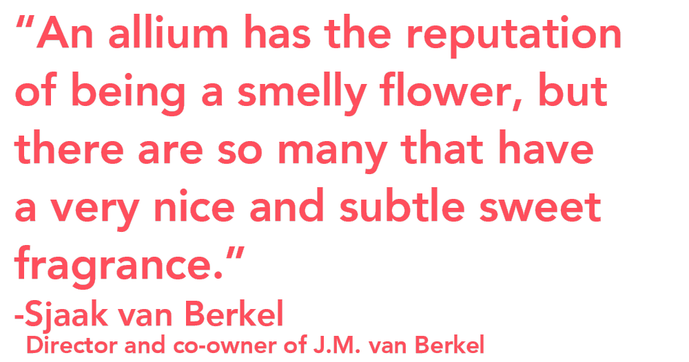 Coloríginz All I Am Sjaak van Berkel quote fragrance