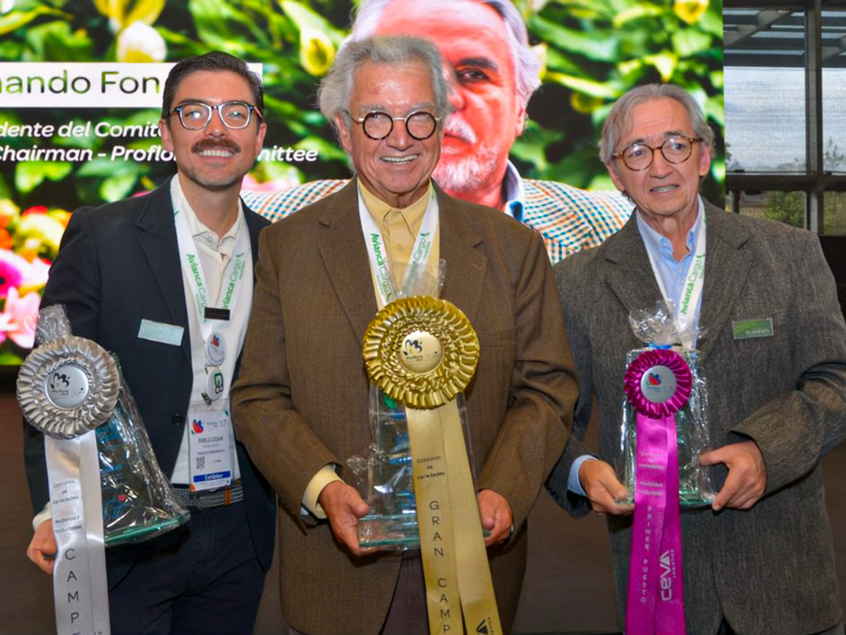 Proflora 2023 competition winners Proflora 2023 competition winners