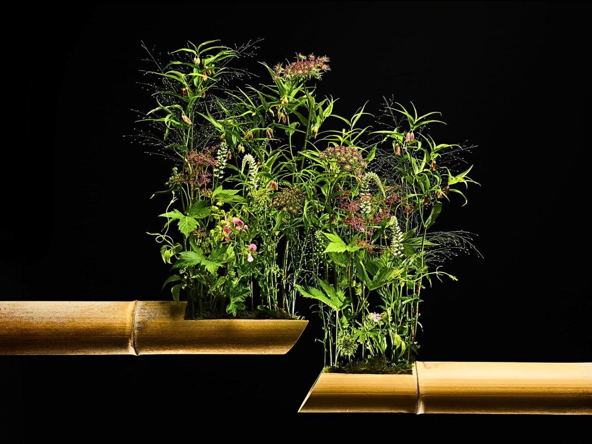 Japan’s Floral Artist Hiroto Inoue Targets to Be a Cut Above the Rest at the 2025 World Cup Floral Art