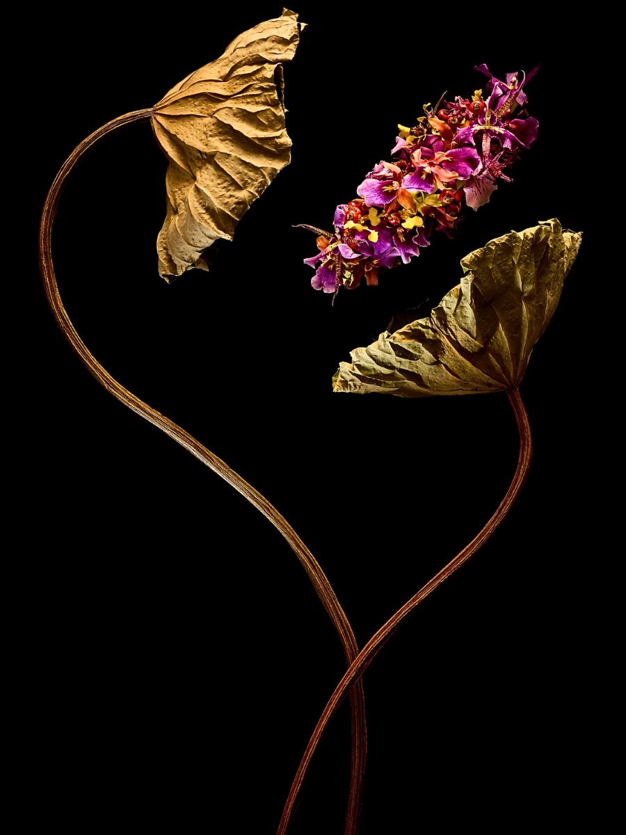 Japan’s Floral Artist Hiroto Inoue Targets to Be a Cut Above the Rest at the 2025 World Cup Floral Art