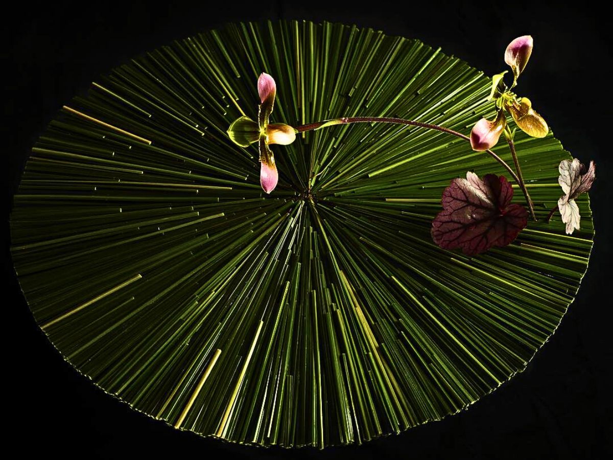 Japan’s Floral Artist Hiroto Inoue Targets to Be a Cut Above the Rest at the 2025 World Cup Floral Art