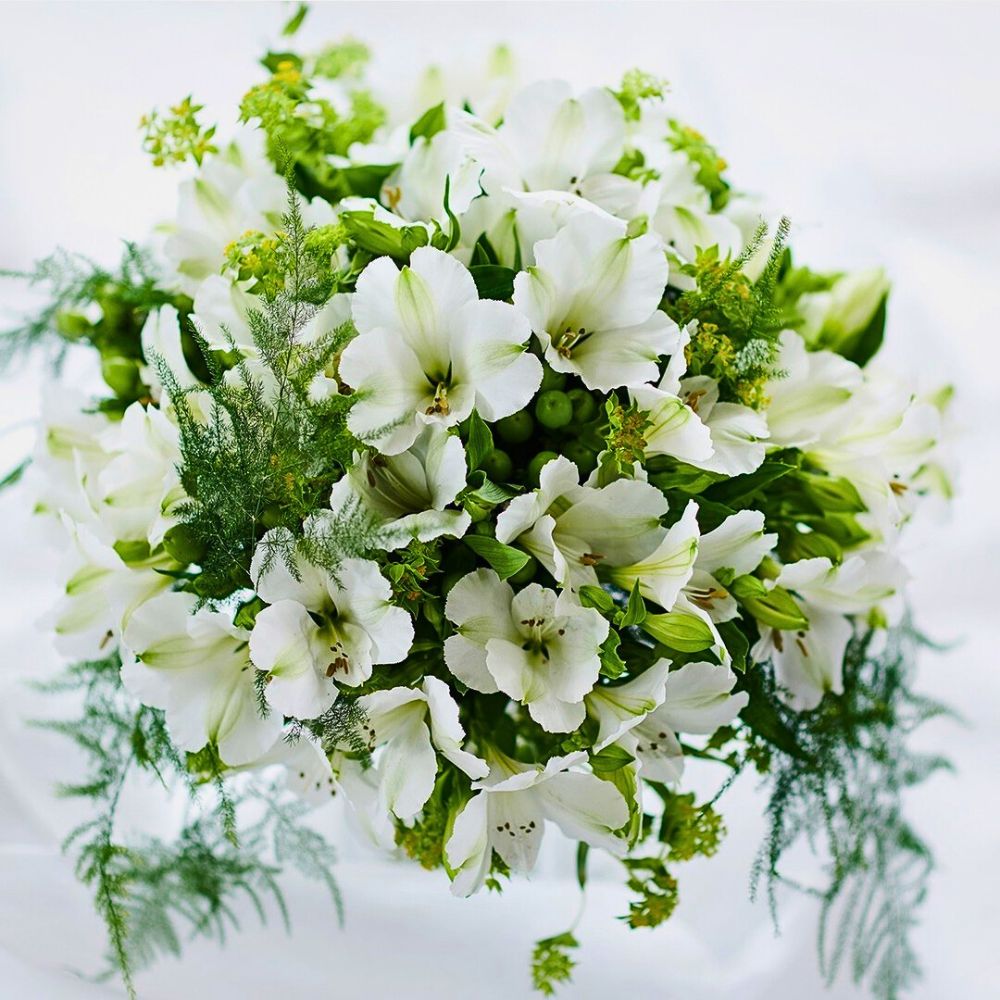 Pure White Alstroemeria Mistral Alstroemeria Flower Meaning - The Rich Symbolism Behind This Friendship Flower