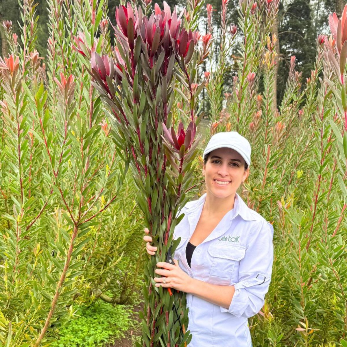 Mariela of TAK featured.jpg