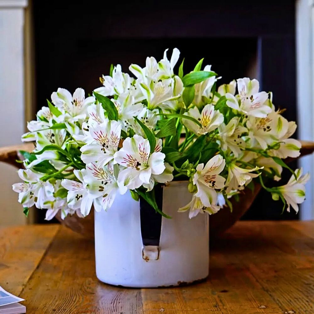 White Alstroemeria flowers Alstroemeria Flower Meaning, Symbolism, and Cultural Nuances as a Friendship Flower