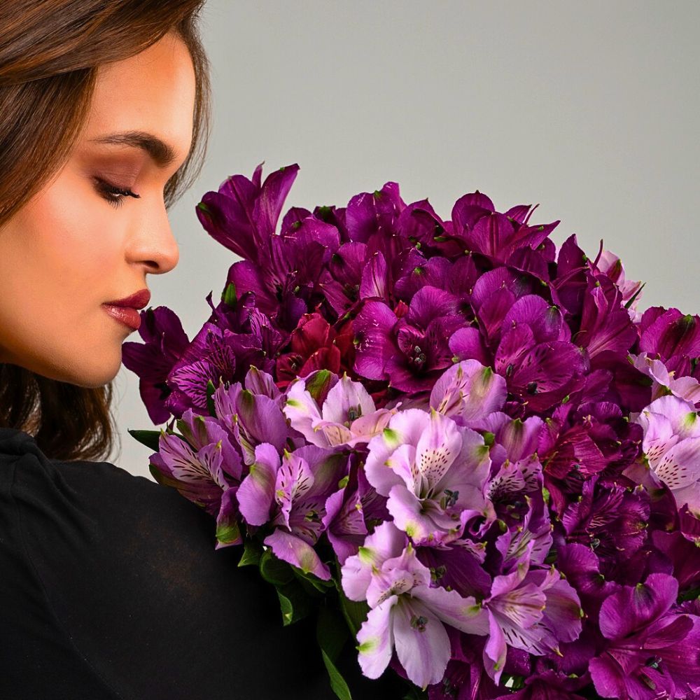Alstroemeria flowers Alstroemeria Flower Meaning, Symbolism, and Cultural Nuances as a Friendship Flower