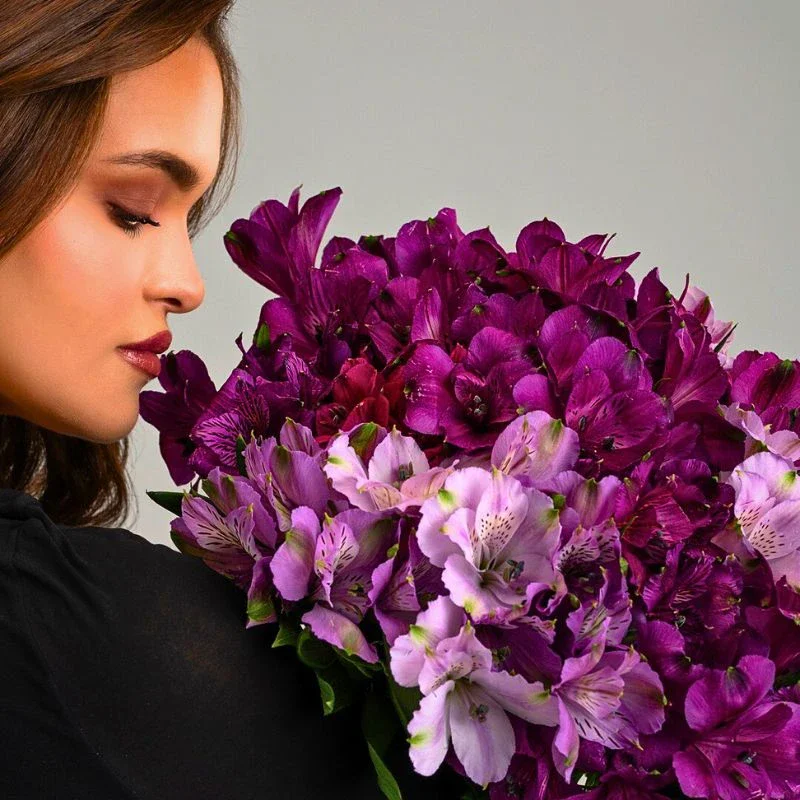Alstroemeria Flower Meaning, Symbolism, and Cultural Nuances as a Friendship Flower