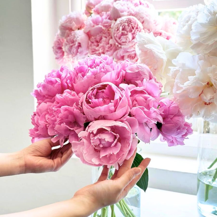 Peonies by Flower Addict