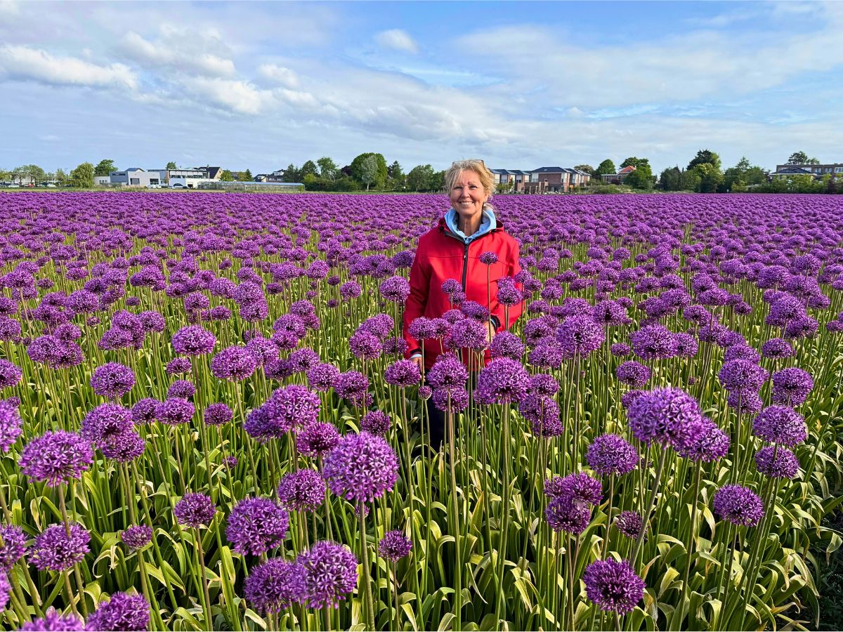 Tineke van Berkel J.M. Van Berkel and Flores de Andalusia's Allium Approach for Year-Round Flowering
