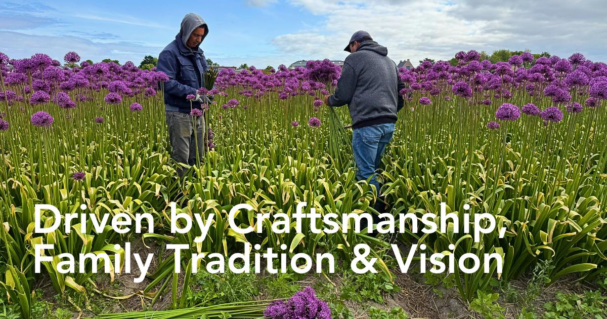The Allium Approach of J.M. Van Berkel and Flores de Andalusia Guarantees Year-Round Flowering