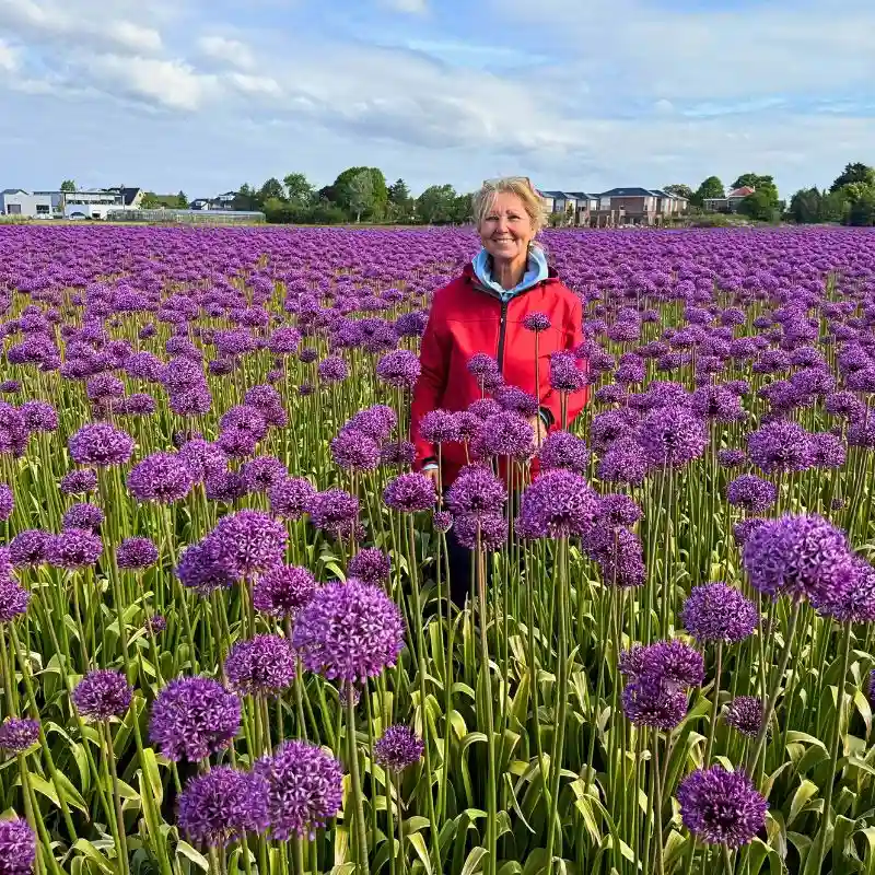 The Allium Approach of J.M. Van Berkel and Flores de Andalusia Guarantees Year-Round Flowering