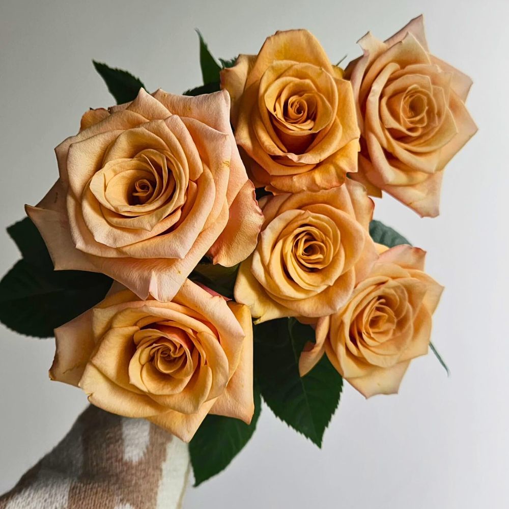 Beautiful coffee like colored rose from Jan Spek Rozen Flower Quotes