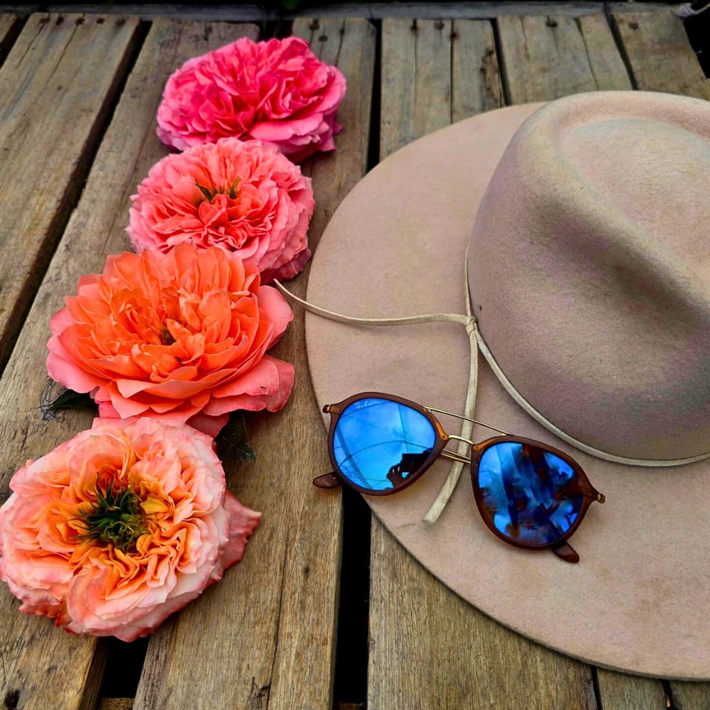 Garden Roses from De Ruiters Ecuador Flower Quotes