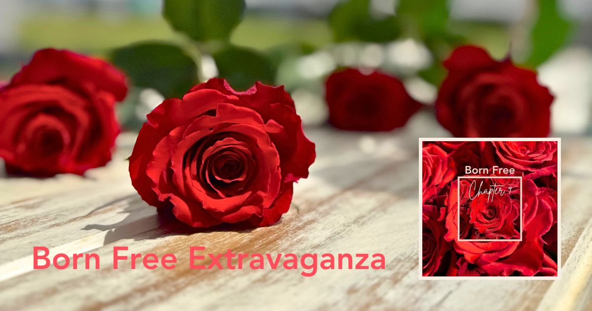 Chapter 9 Rose Born Free De Ruiter