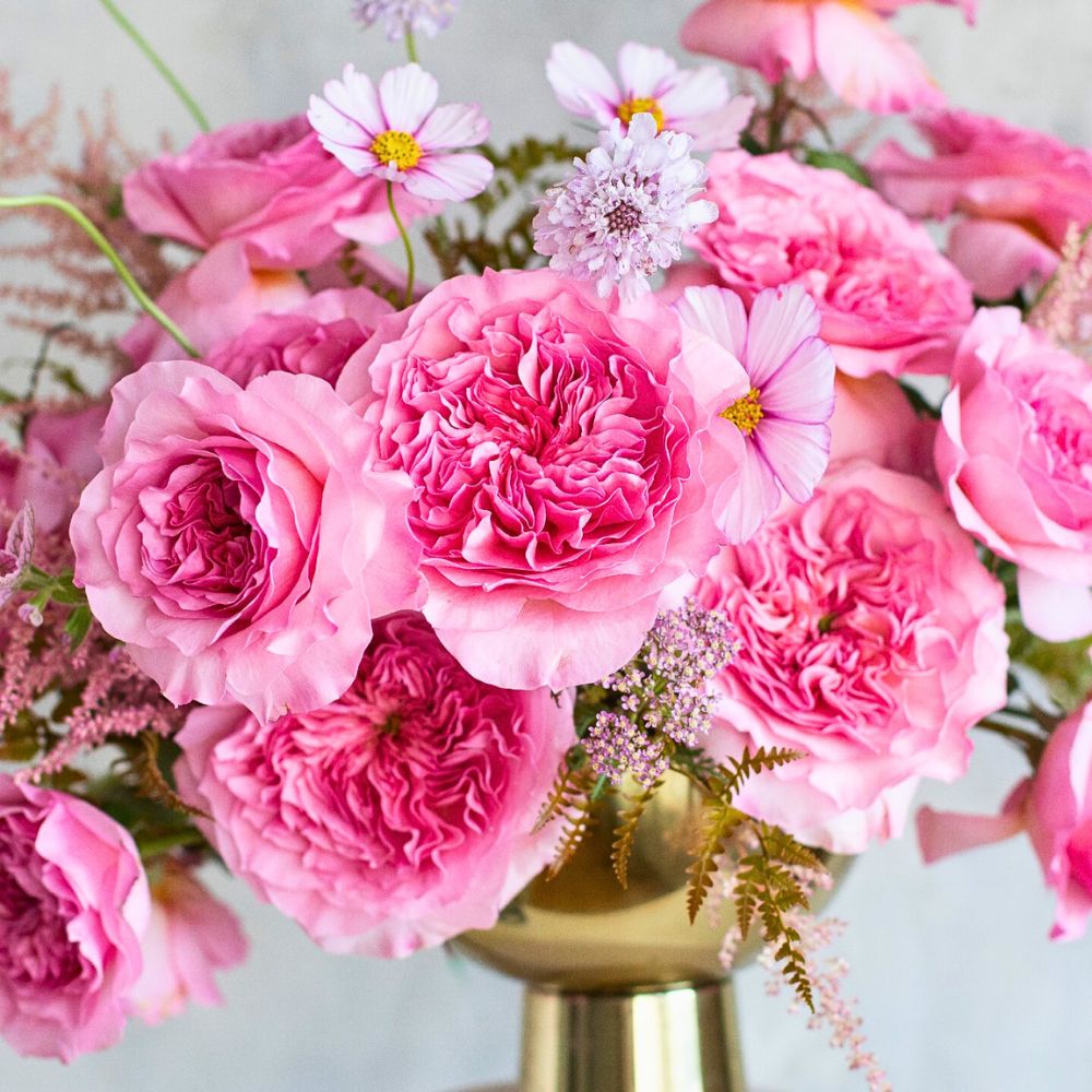 Garden Roses for your wedding floral needs Flower Quotes