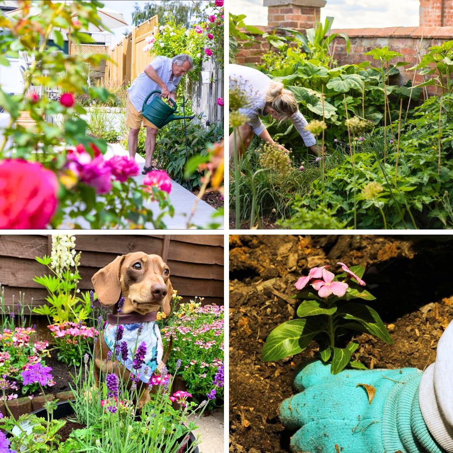 National Gardening Week scenes National Gardening Week scenes