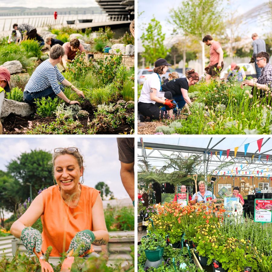 A community of gardeners celebrating National Gardening week A community of gardeners celebrating National Gardening week