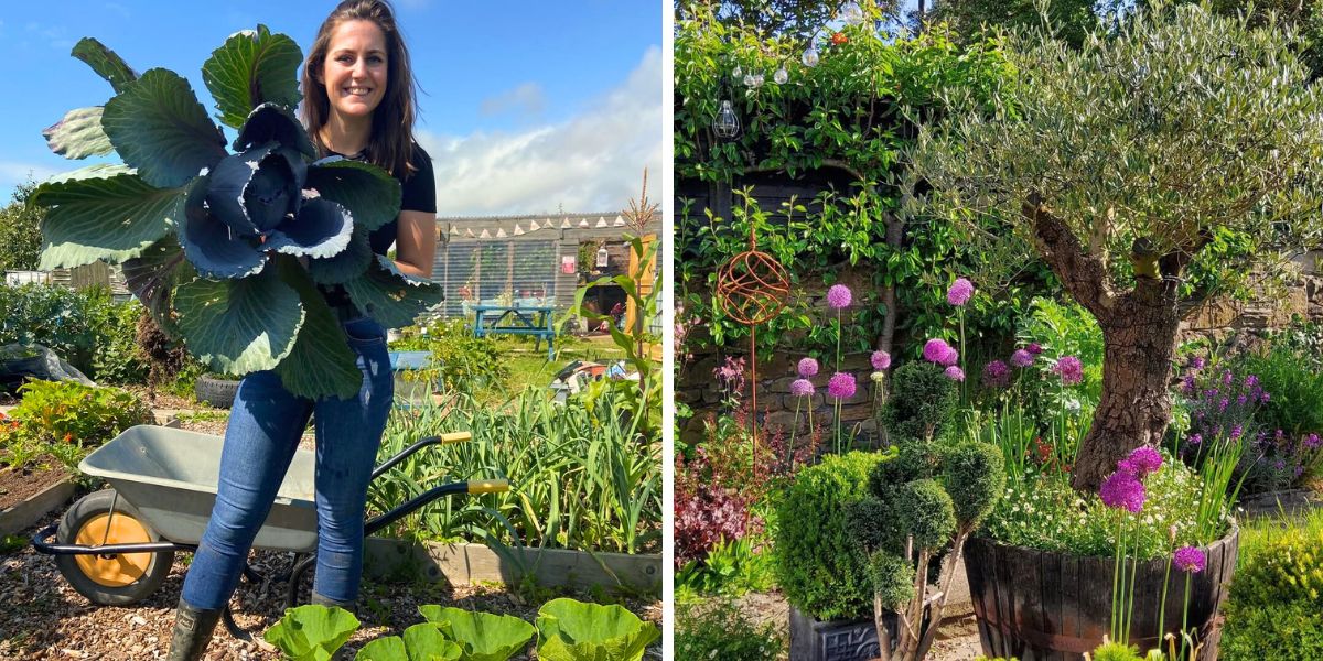Gardening landscapes filled with color Gardening landscapes filled with color